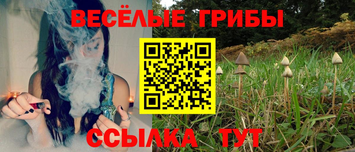 купить наркотик  Вход с VPN  Воркута  Псилоцибиновые грибы Magic Shrooms 