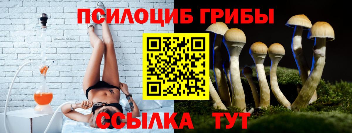 Псилоцибиновые грибы Psilocybine cubensis Воркута